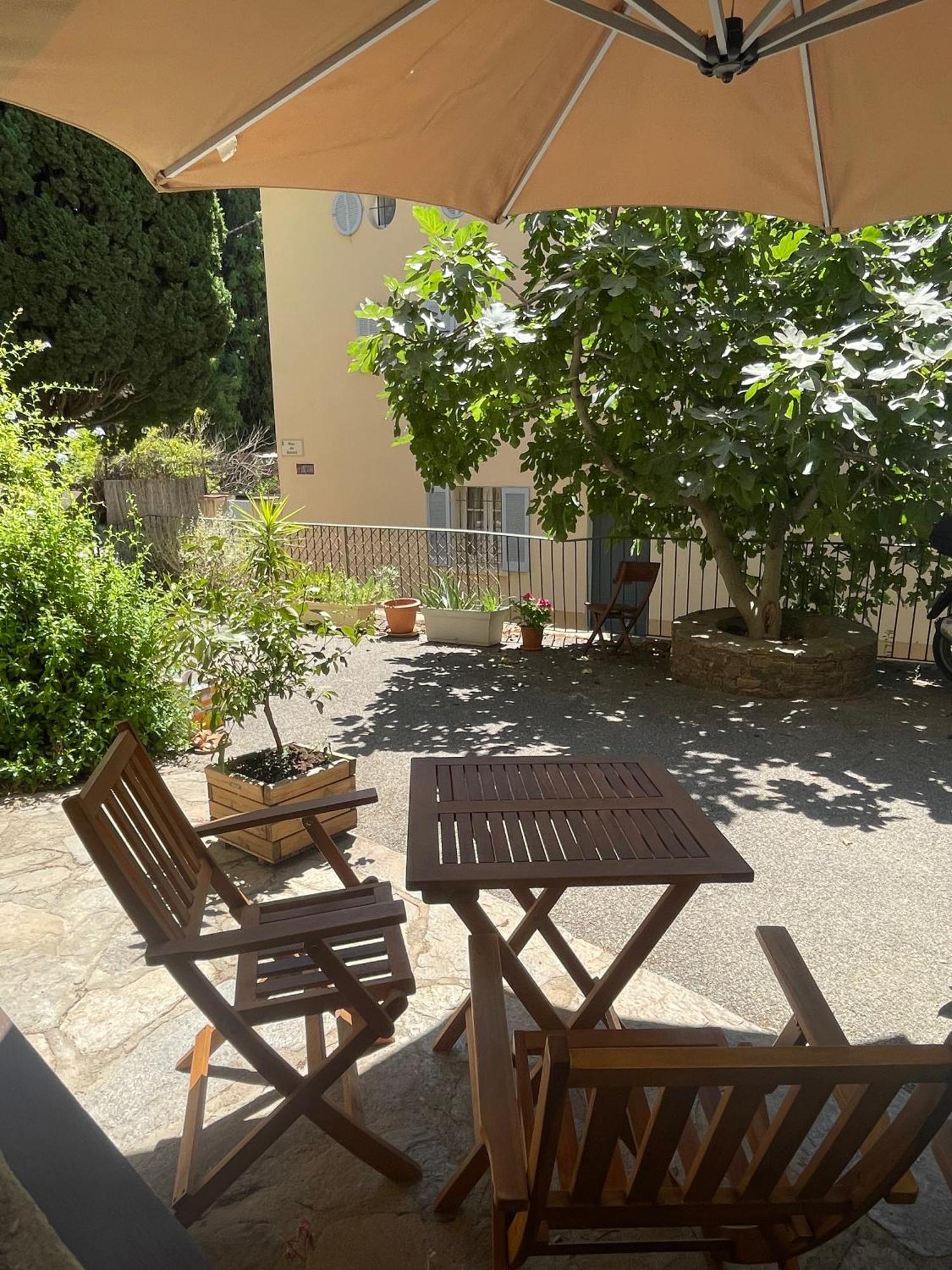 Cosy Studio - Place Du Figuier Bormes-les-Mimosas Exteriér fotografie